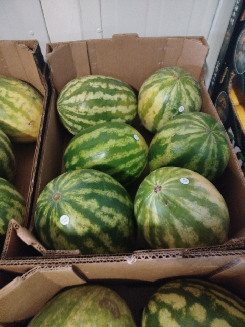 Arbuz II klasa skrzynka 15 kg Arbuz II klasa skrzynka 15 kg