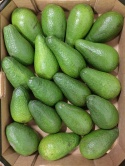 Awokado zielone świeże skrzynka 4 kg