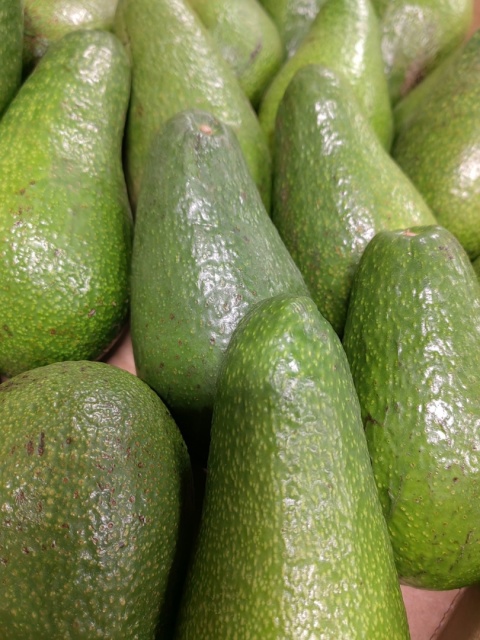 Awokado zielone świeże skrzynka 4 kg