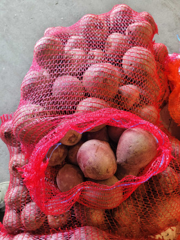 Buraki z gospodarstwa pod Warszawą worek 10kg