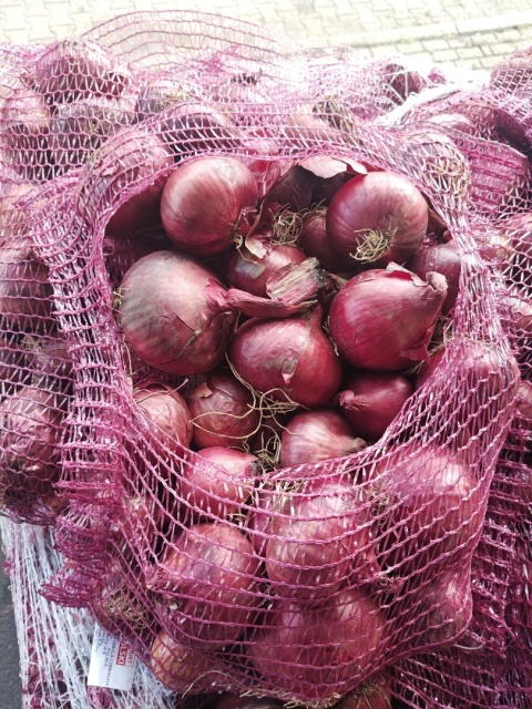Cebula czerwona z gospodarstwa pod Warszawą worek 5kg