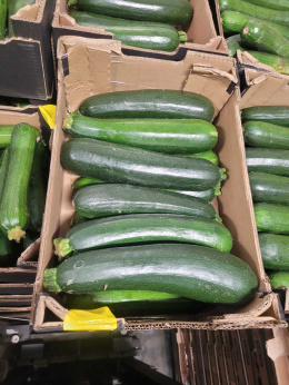 Cukinia II klasa karton 5 kg