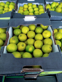 Limonka 4 kg - skazy skórki, nierównomierne wybarwienie