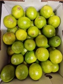 Limonka 4 kg - skazy skórki, nierównomierne wybarwienie