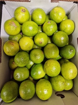 Limonka 4 kg - skazy skórki, nierównomierne wybarwienie