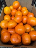 Świeże Mandarynki z Egiptu 10 kg - drobne skazy, słodkie i dojrzałe