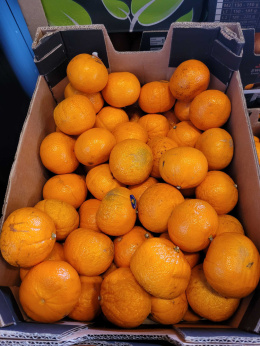 Mandarynki II klasa 10 kg