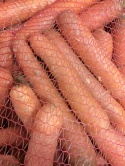 Marchew polska myta 10 kg