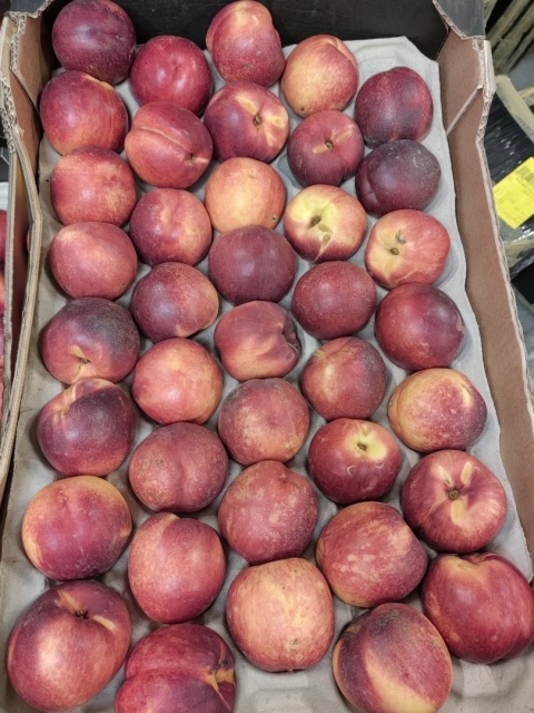 Nektarynka 5 kg II klasa (kraj poch. Hiszpania)