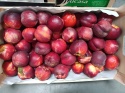 Nektarynka 5 kg II klasa (kraj poch. Hiszpania)