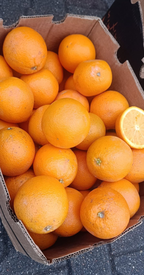 Słodkie pomarańcze 15 kg (kraj poch. Egipt)
