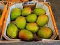 Mango II kl. karton 4 kg
