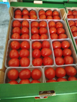 Pomidor jajo, świeży 5kg